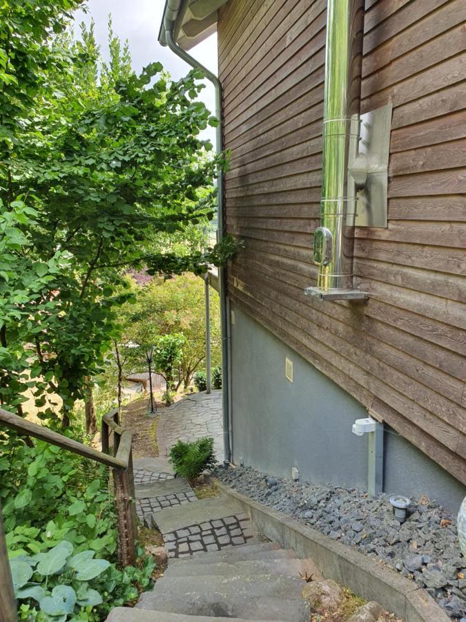 River Mosel Holiday Homes, Meerfeld Studio With A Lake View Exterior photo