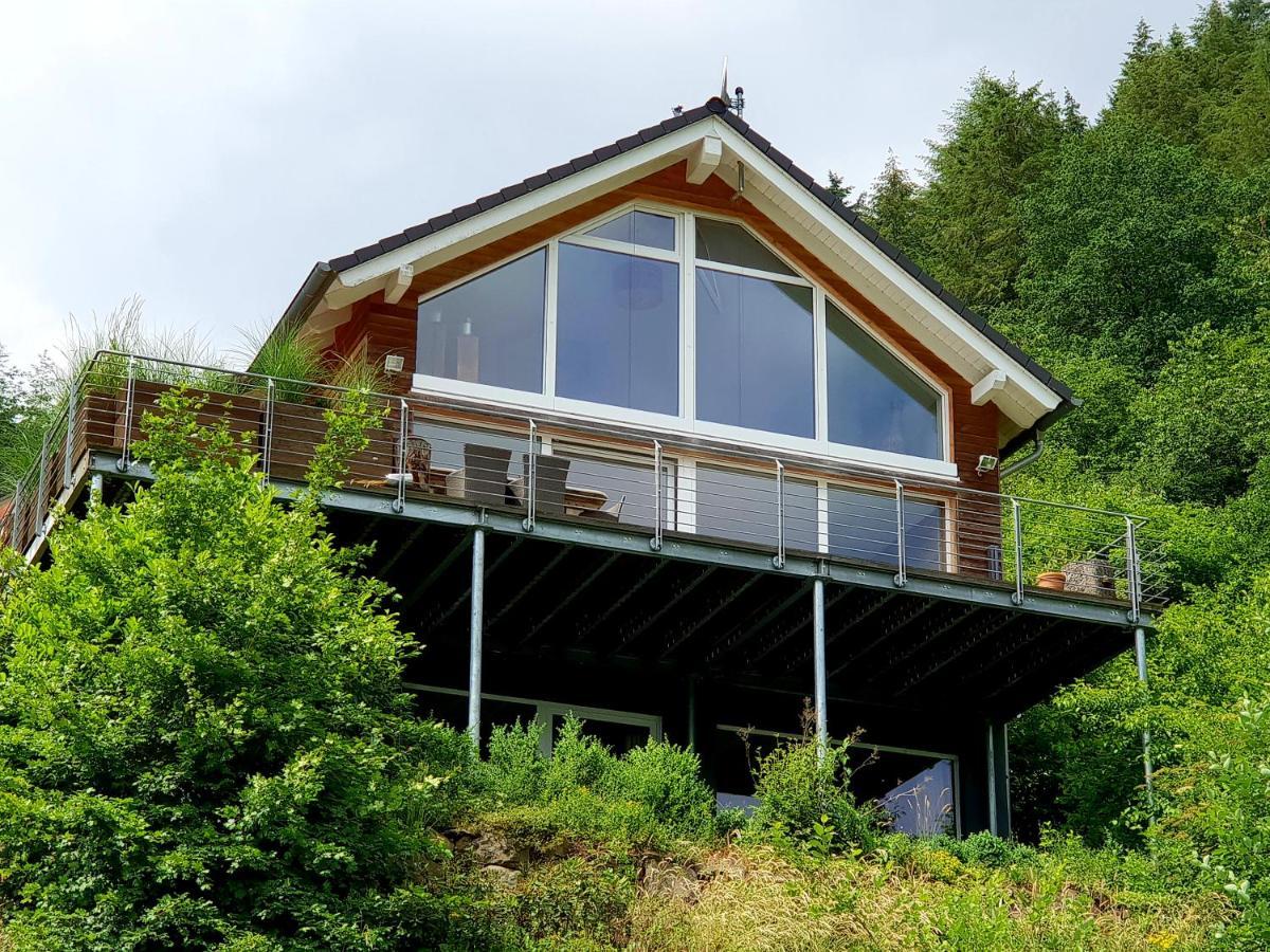 River Mosel Holiday Homes, Meerfeld Studio With A Lake View Exterior photo