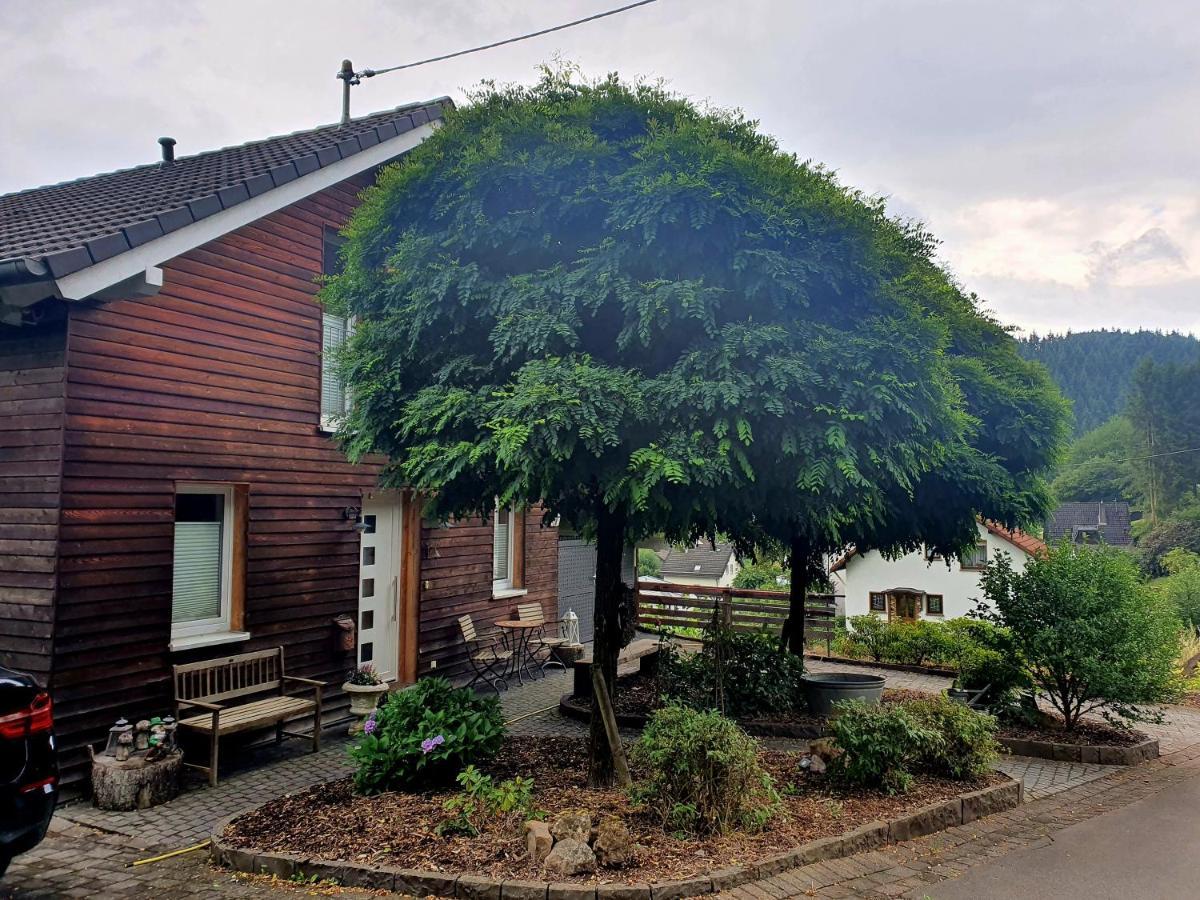 River Mosel Holiday Homes, Meerfeld Studio With A Lake View Exterior photo