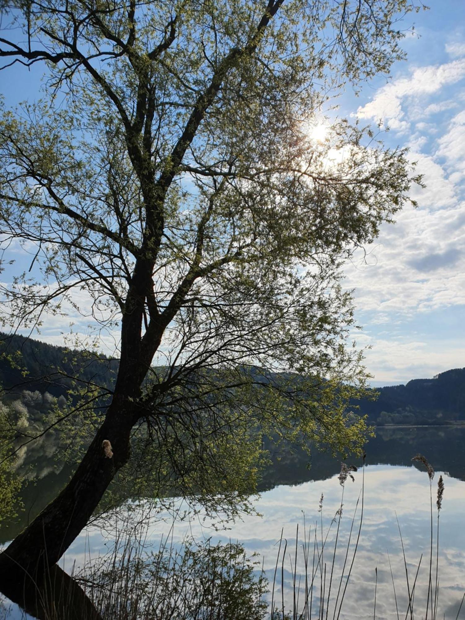 River Mosel Holiday Homes, Meerfeld Studio With A Lake View Exterior photo